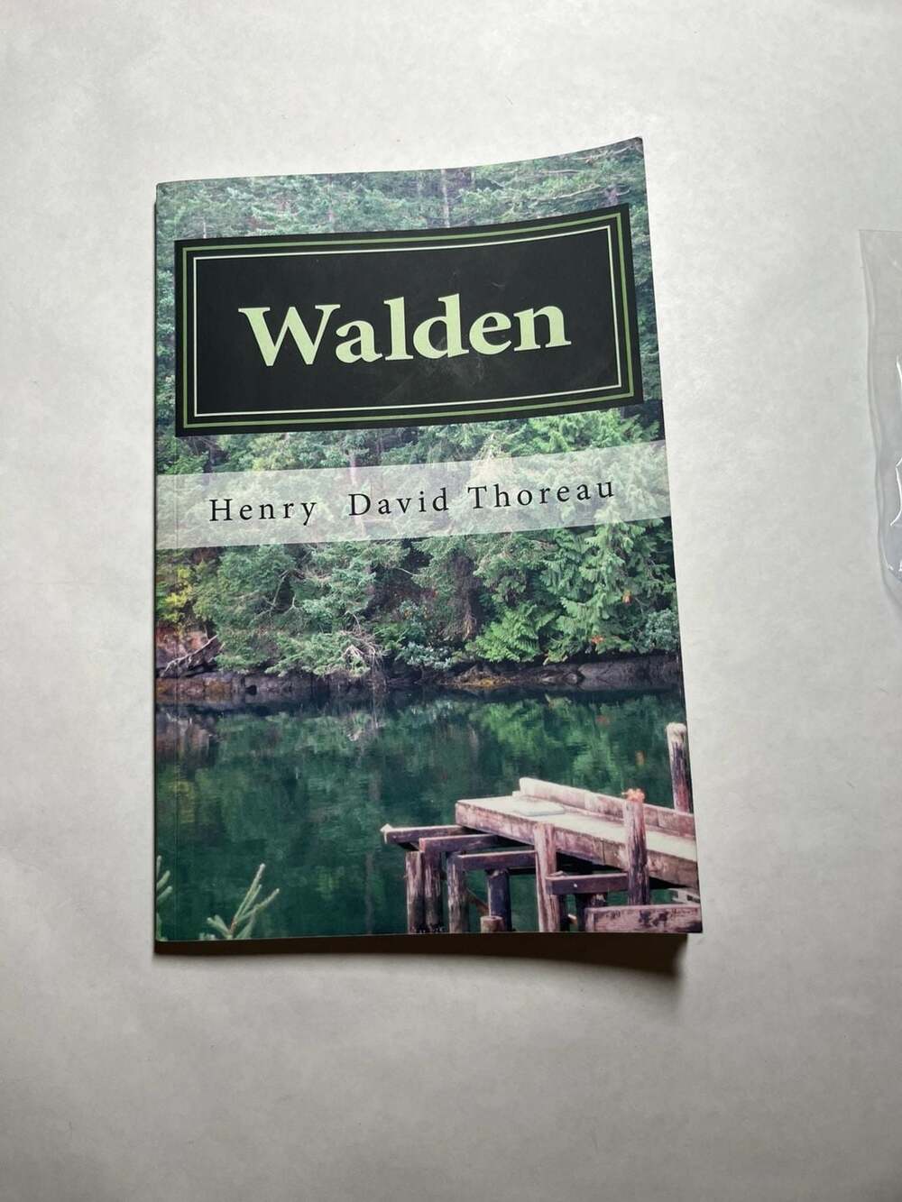 Walden; or, Life in the Woods by Henry David Thoreau (2021 Paperback)